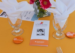 llls table setting