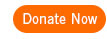 Donate Now button