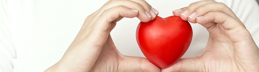 Small ornamental heart being held by two hands